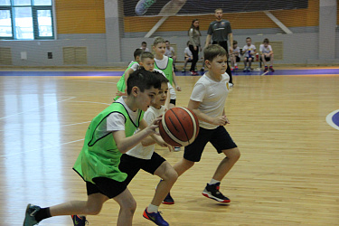 New basket