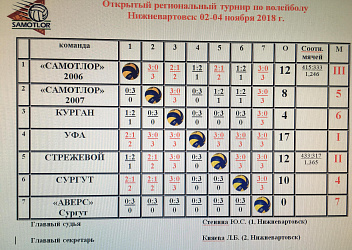 Открытый региональный турнир по волейболу