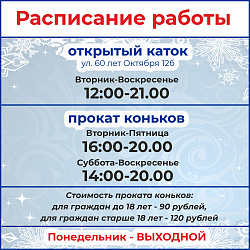 ВСЕ НА КАТОК!