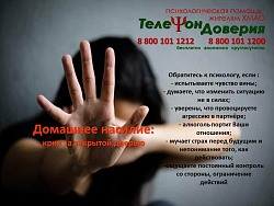  «Домашнее насилие: крик о помощи за закрытой дверью» 
