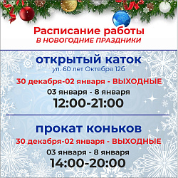 ВСЕ НА КАТОК!