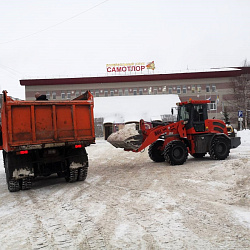 БОЙЦЫ СНЕЖНОГО ФРОНТА