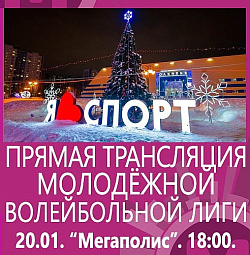  Молодёжная волейбольная лига  