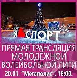 Молодёжная волейбольная лига 
